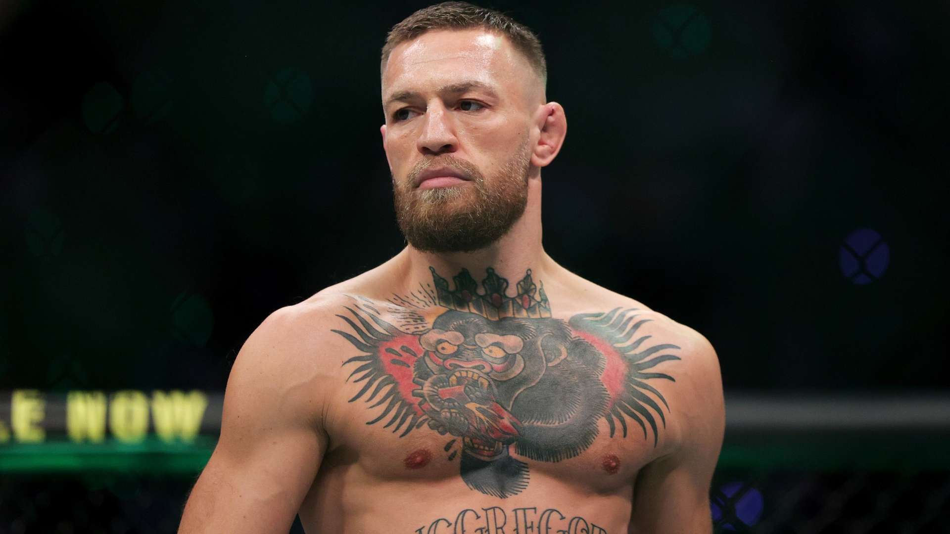 乐部则会在 乐部则会在